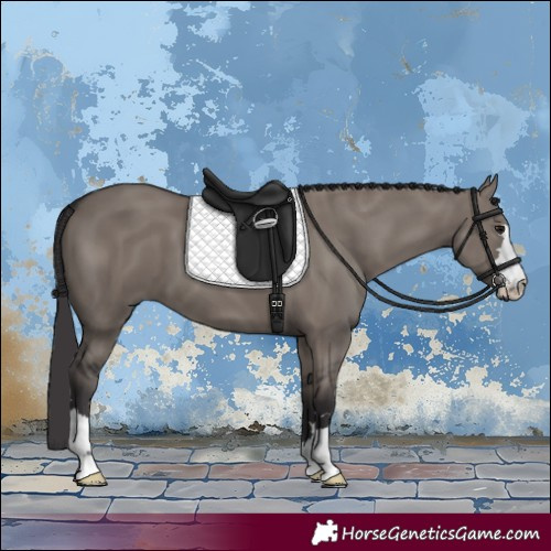 Horse Color:Smoky Grullo 