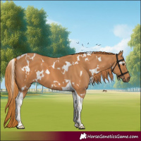 Horse Color:White Spotted Chestnut Tobiano 