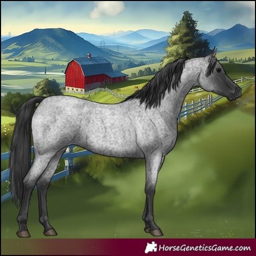 Horse Color:Blue Roan 