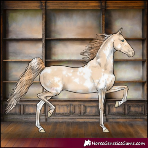 Horse Color:White Spotted Buckskin Pearl 