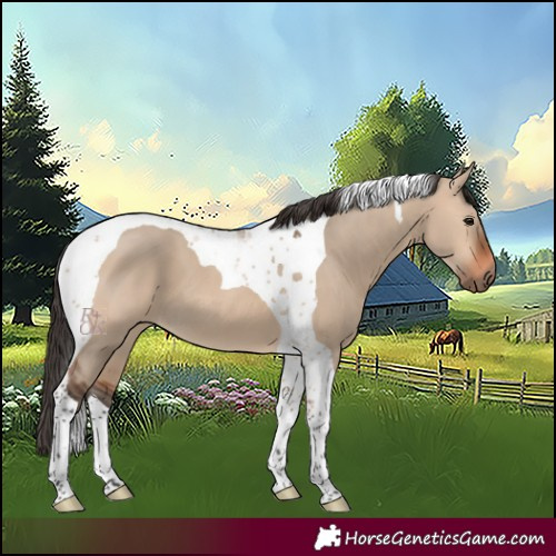Horse Color:Bay Dun Tobiano 