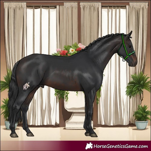 Horse Color:Brown 