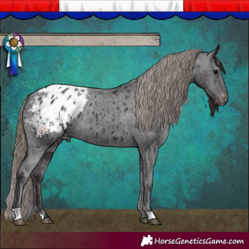 Horse Color:Smoky Black Blanket 