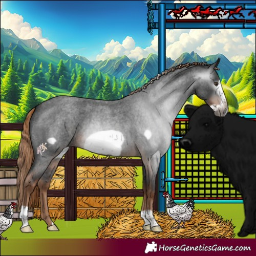 Horse Color:Gray Liver Red Roan Frame 