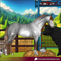 Horse Color:Gray Liver Red Roan Frame 