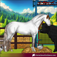 Horse Color:Gray Liver Red Roan Frame 