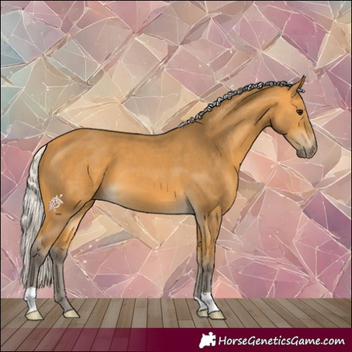 Horse Color:Silver Buckskin 