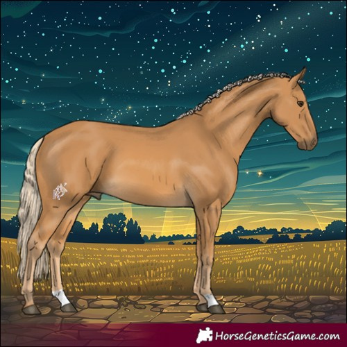 Horse Color:Palomino 