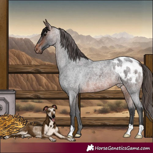 Horse Color:Brown Roan Blanket 