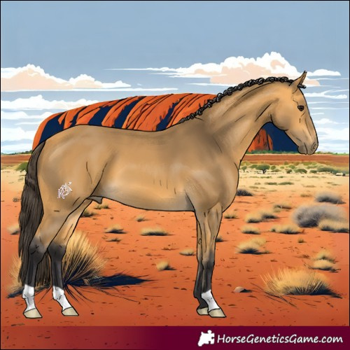 Horse Color:Buckskin 