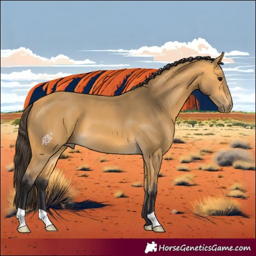 Horse Color:Buckskin 