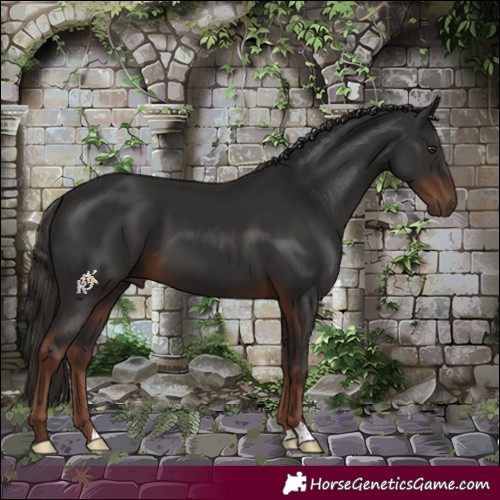 Horse Color:Liver Chestnut 