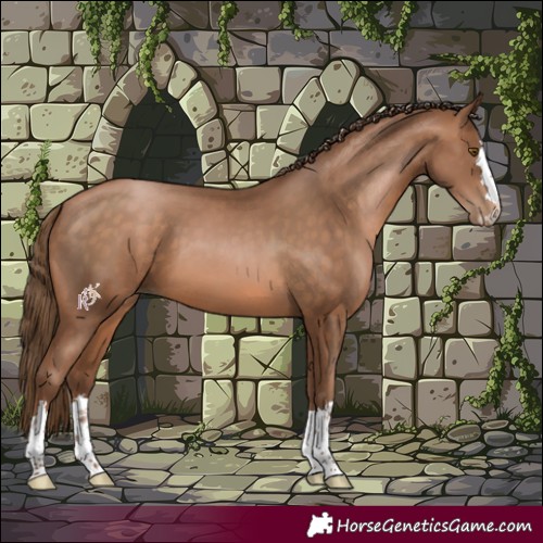 Horse Color:Brown Pearl 