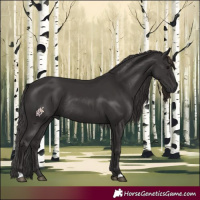 Horse Color:Smoky Black Rabicano 
