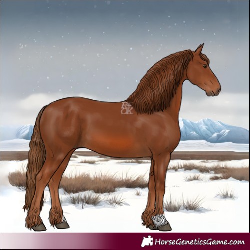 Horse Color:Chestnut 