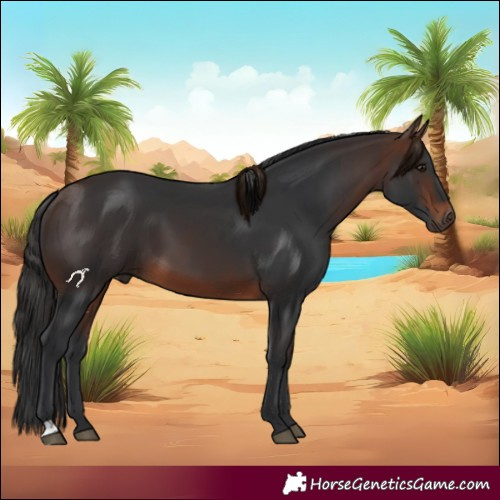 Horse Color:Brown 