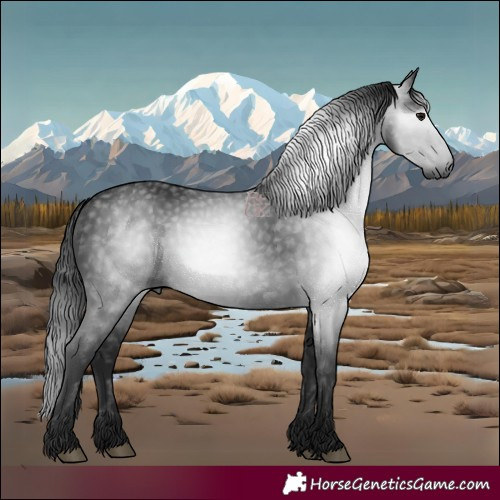 Horse Color:Gray Smoky Black 