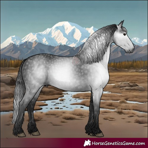 Horse Color:Gray Smoky Black 