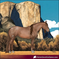 Horse Color:Brown Pearl