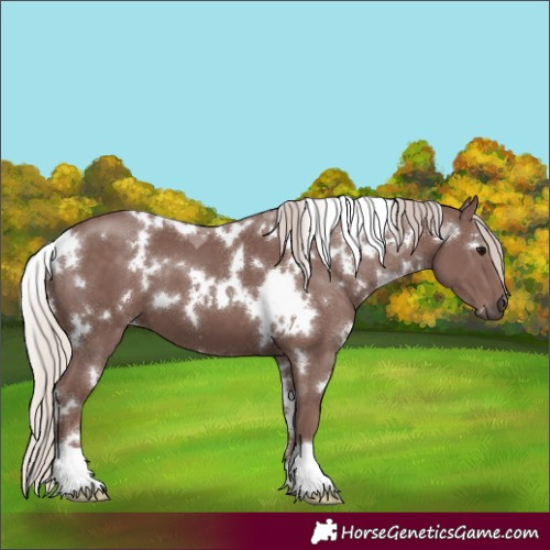 Horse Color:White Spotted Chocolate Silver Black 