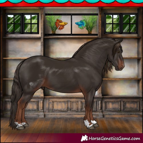 Horse Color:Liver Chestnut 