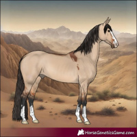 Horse Color:Bay Dun