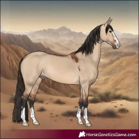 Horse Color:Bay Dun