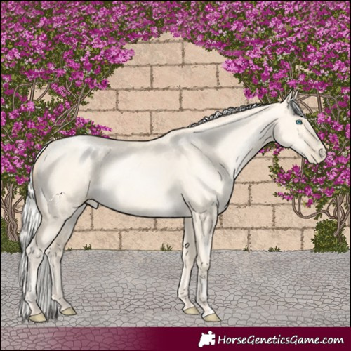Horse Color:Silver Sable Cream Champagne Pearl Dun 