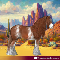 Horse Color:White Spotted Chestnut 