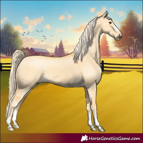 Horse Color:Palomino Dun 
