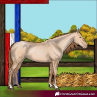 Horse Color:Bay Pearl Dun