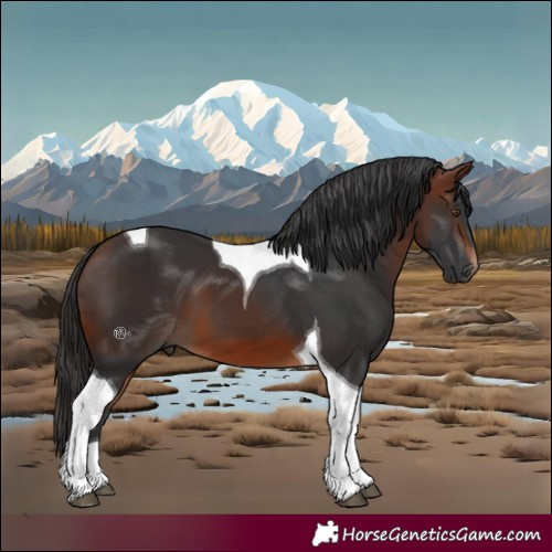 Horse Color:Brown Tobiano 