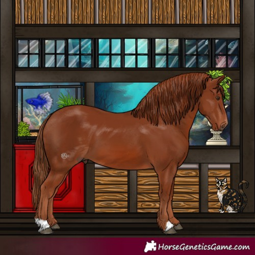Horse Color:Chestnut 