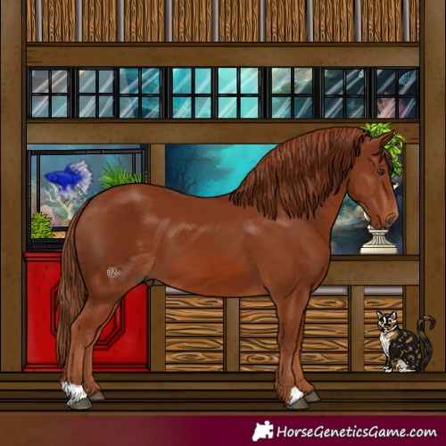 Horse Color:Chestnut 