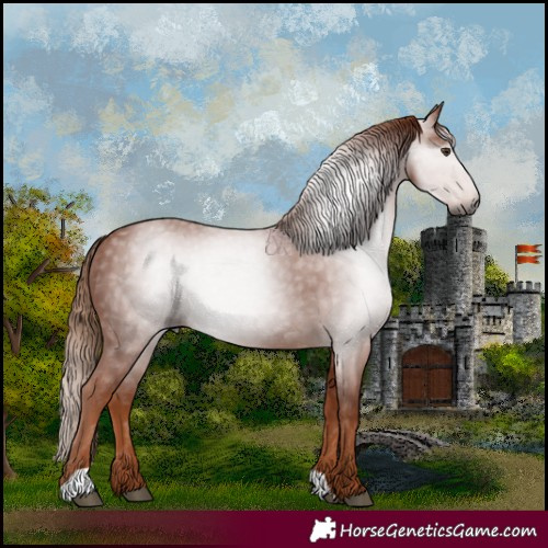 Horse Color:Gray Chestnut 