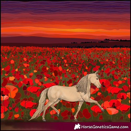 Horse Color:Red Dun 