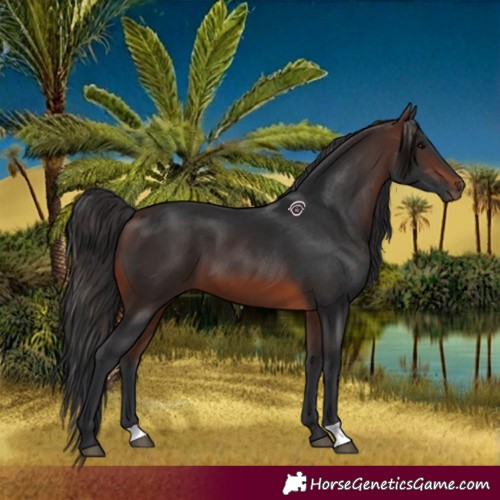 Horse Color:Brown 