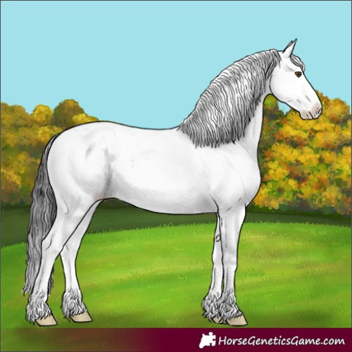 Horse Color:Brown Sabino 