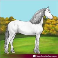 Horse Color:Brown Sabino 