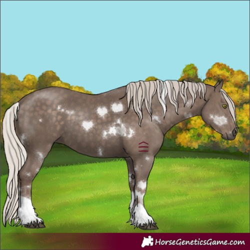 Horse Color:White Spotted Silver Black Tobiano 