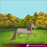Horse Color:Classic Champagne Varnish
