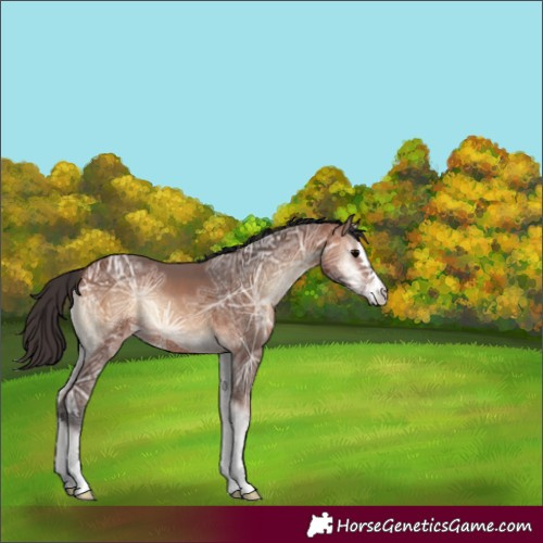 Horse Color:Bay Ice Onyx 