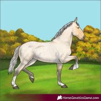 Horse Color:Silver Buckskin Roan Tobiano 