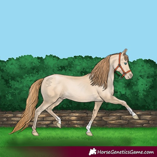 Horse Color:Smoky Black Pearl Sabino