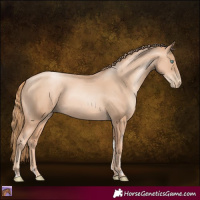 Horse Color:Gold Champagne Pearl Tobiano Rabicano and Gold Champagne Pearl Rabicano