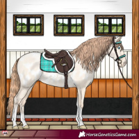 Horse Color:Classic Cream Champagne Pearl Dun Tobiano Appaloosa Rabicano