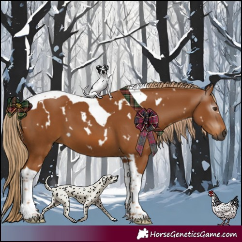 Horse Color:Gray White Spotted Chestnut Tobiano 