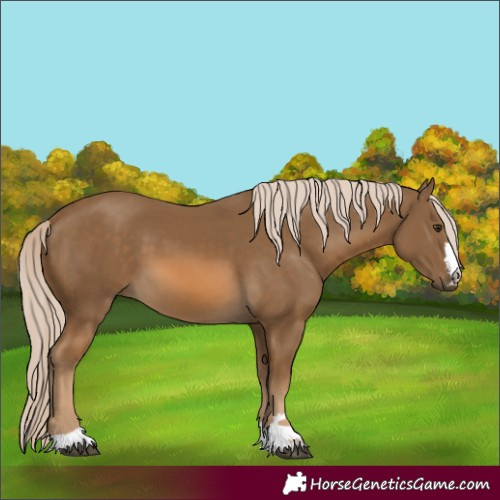 Horse Color:Chocolate Palomino