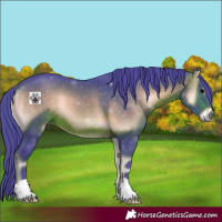 Horse Color:Watercolor Brown Onyx 