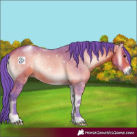 Horse Color:Watercolor Bay Onyx 